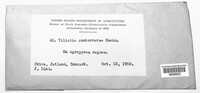 Image Associated With the Occurence